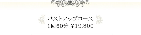 バストアップコース 1回60分 ¥19,800